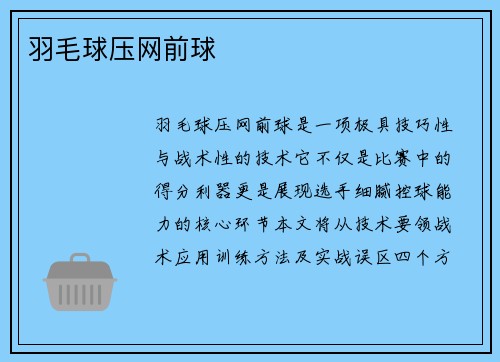 羽毛球压网前球